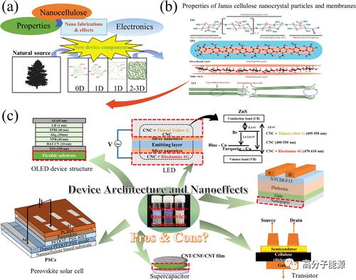 AFM纳米纤维素 柔性电子与能源器件的多功能平台